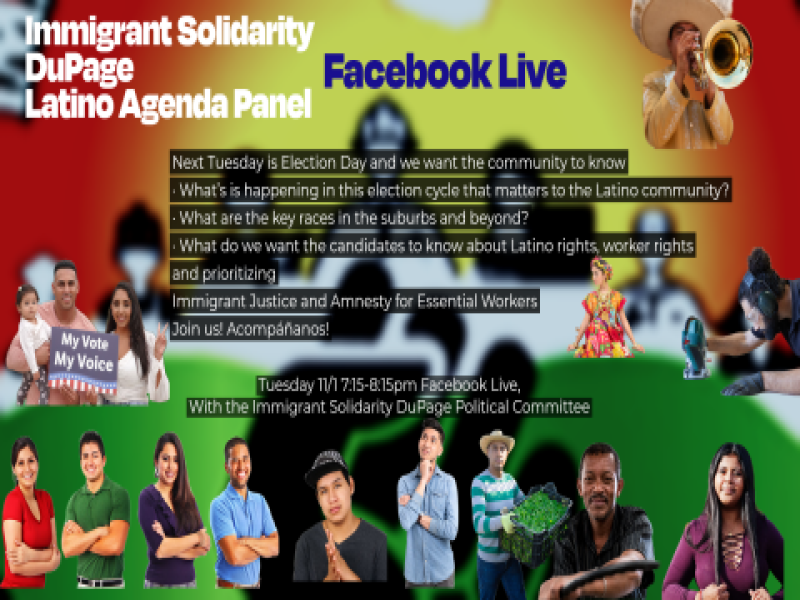 Immigrant Solidarity DuPage Latino Agenda Panel Solidaridad de DuPage